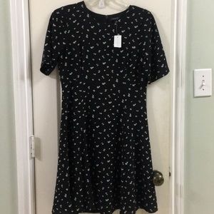 Ann Taylor Dress